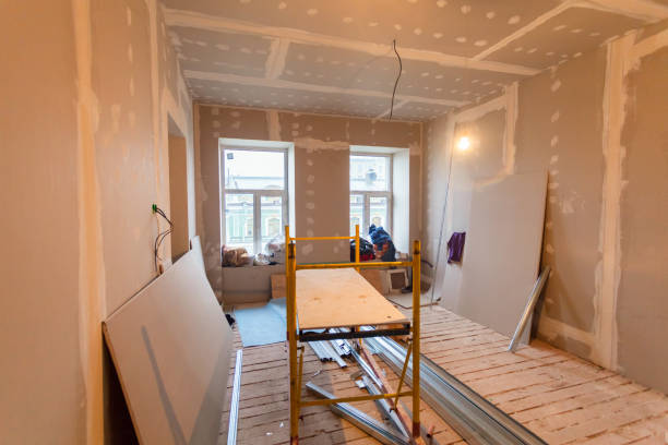 Professional Mold Removal in Ak Chin Village, AZ